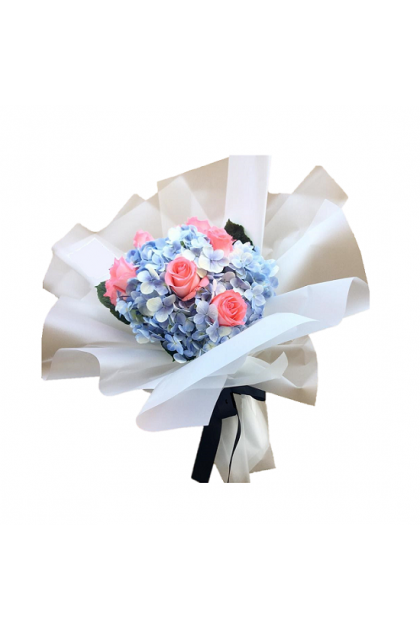 HB320 Hydrangea Rose