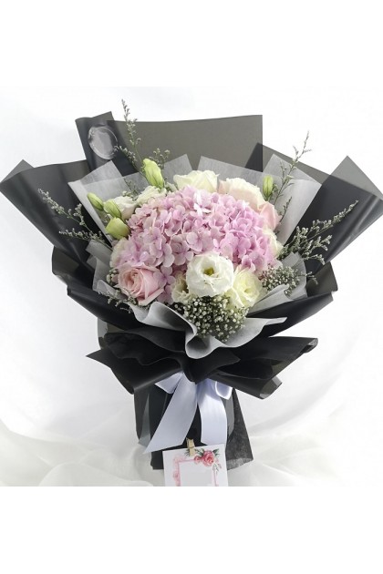 HB321 Rose Hydrangea